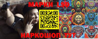 шишки Будённовск